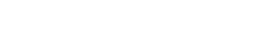 Project: Ramnur Information Technologies